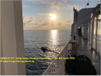 39969 04 177  Hallig Hooge, Nordsee-Expedition mit der MS Quest 2020.JPG